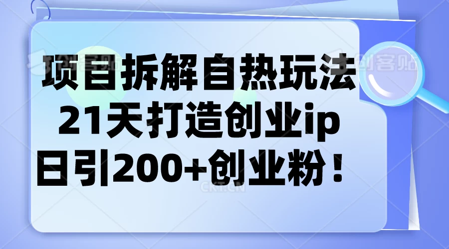 项目拆解自热玩法，21天打造创业IP，日引200+创业粉-巴七创客网