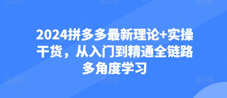 2024拼多多最新理论+实操干货，从入门到精通全链路多角度学习-巴七创客网