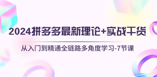 （10816期）2024拼多多 最新理论+实战干货，从入门到精通全链路多角度学习-7节课-巴七创客网