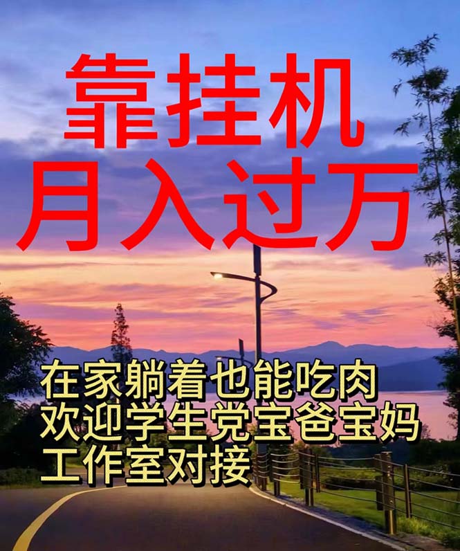 （10838期）靠挂机，日入1000+，躺着也能吃肉，适合宝爸宝妈学生党工作室，电脑手…-巴七创客网