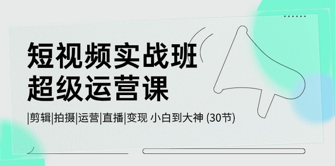 短视频实战班超级运营课 |剪辑|拍摄|运营|直播|变现 小白到大神 (30节)-巴七创客网