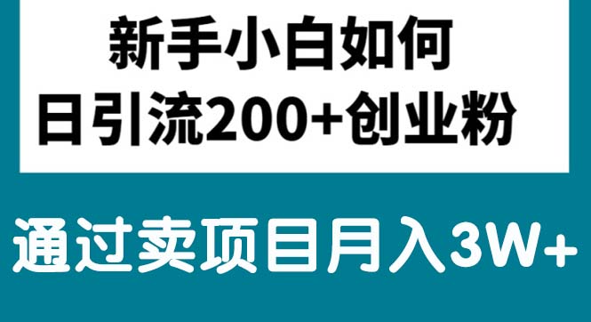 （10843期）新手小白日引流200+创业粉,通过卖项目月入3W+-巴七创客网
