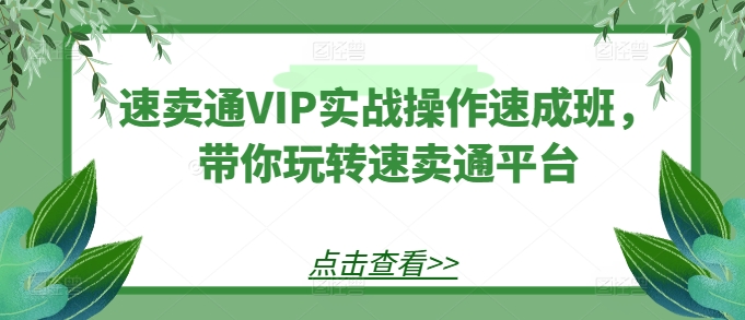 速卖通VIP实战操作速成班，带你玩转速卖通平台-巴七创客网