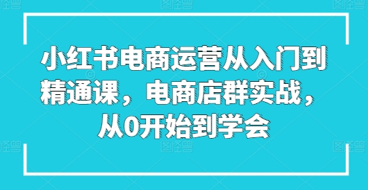 小红书电商运营从入门到精通课，电商店群实战，从0开始到学会-巴七创客网