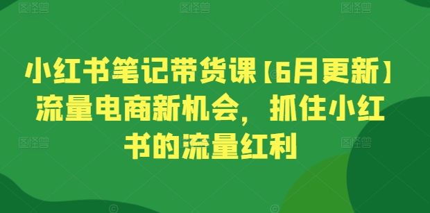 小红书笔记带货课【6月更新】流量电商新机会，抓住小红书的流量红利-巴七创客网