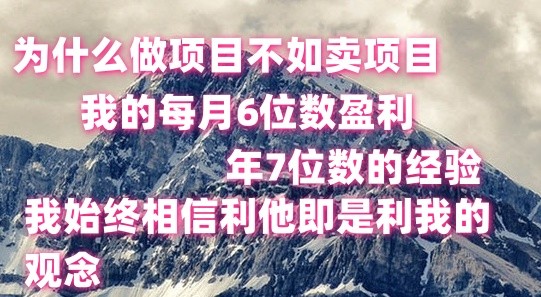 做项目不如卖项目，每月6位数盈利，年7位数经验-巴七创客网