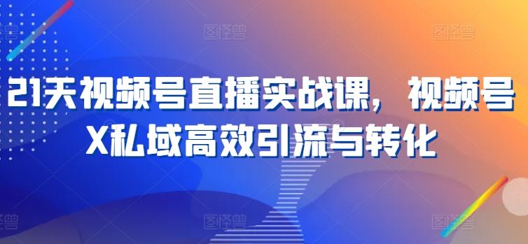 21天视频号直播实战课，视频号X私域高效引流与转化-巴七创客网