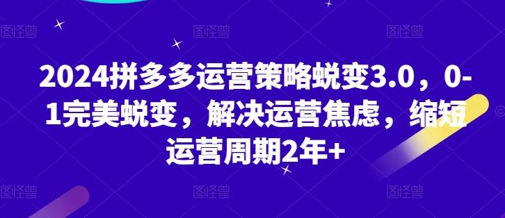 2024拼多多运营策略蜕变3.0，0-1完美蜕变，解决运营焦虑，缩短运营周期2年+-巴七创客网