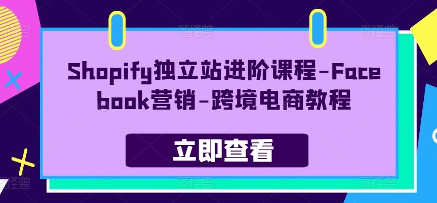 Shopify独立站进阶课程-Facebook营销-跨境电商教程-巴七创客网