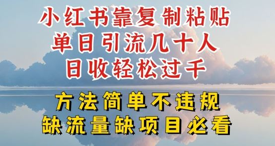 小红书靠复制粘贴单日引流几十人目收轻松过千，方法简单不违规【揭秘】-巴七创客网