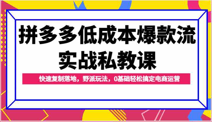 拼多多低成本爆款流实战私教课，快速复制落地，野派玩法，0基础轻松搞定电商运营-巴七创客网