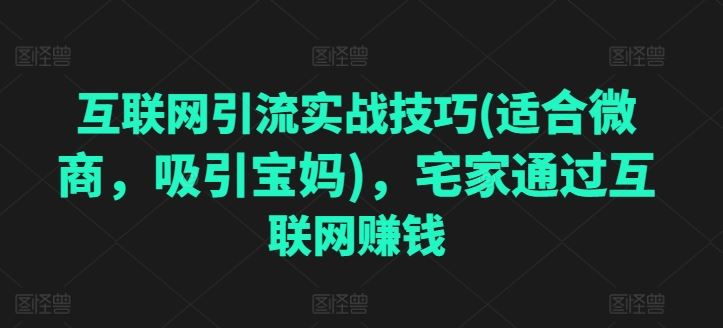 互联网引流实战技巧(适合微商，吸引宝妈)，宅家通过互联网赚钱-巴七创客网