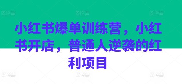 小红书爆单训练营，小红书开店，普通人逆袭的红利项目-巴七创客网