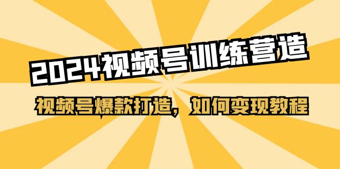 （11135期）2024视频号训练营，视频号爆款打造，如何变现教程（20节课）-巴七创客网