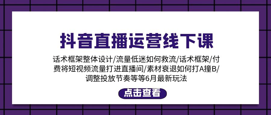 （11211期）抖音直播运营线下课：话术框架/付费流量直播间/素材A撞B/等6月新玩法-巴七创客网