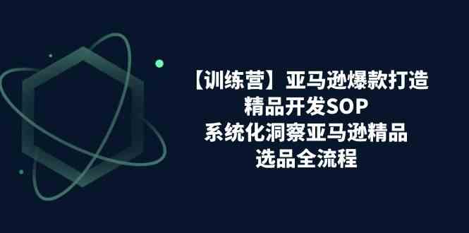 亚马逊爆款打造之精品开发SOP【训练营】，系统化洞察亚马逊精品选品全流程-巴七创客网