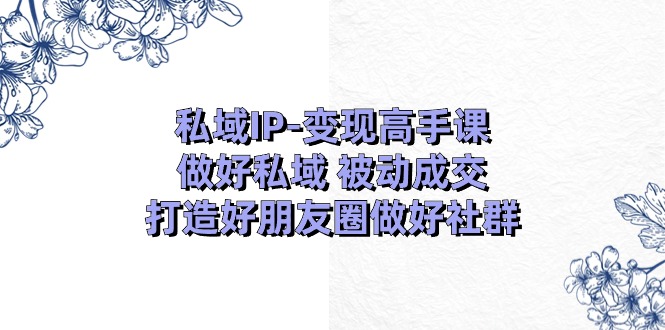 私域IP变现高手课：做好私域被动成交，打造好朋友圈做好社群（18节）-巴七创客网
