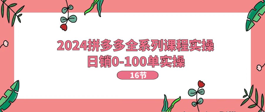 （11222期）2024拼多多全系列课程实操，日销0-100单实操【16节课】-巴七创客网