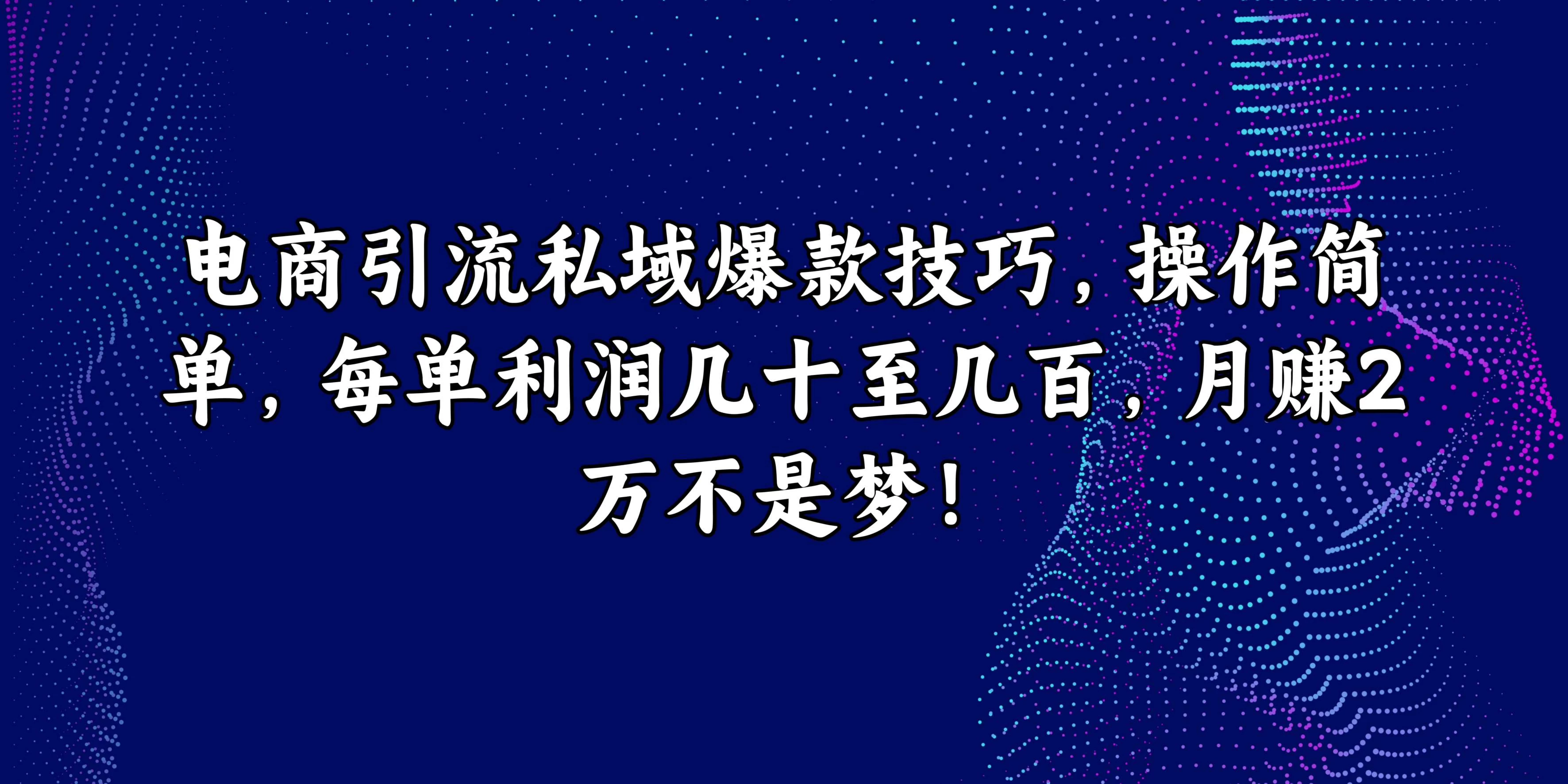 电商引流私域爆款技巧，操作简单，每单利润几十至几百，月赚2万不是梦！-巴七创客网