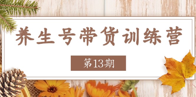 （11275期）养生号-带货训练营【第13期】收益更稳定的玩法，让你带货收益爆炸-巴七创客网