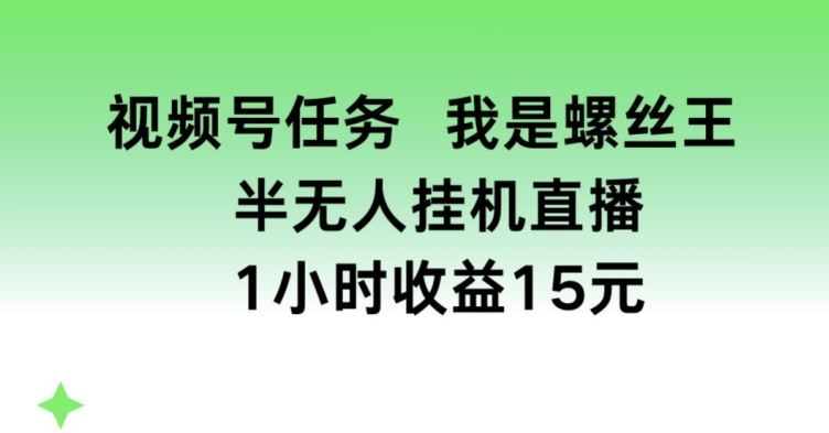 视频号任务，我是螺丝王， 半无人挂机1小时收益15元【揭秘】-巴七创客网