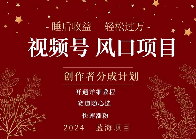 （11331期）拥有睡眠收益的微信视频号大风口项目，轻松月入过万+，多赛道选择，可…-巴七创客网
