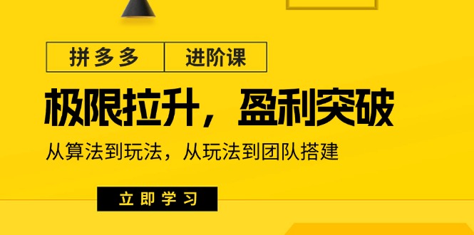 （11435期）拼多多·进阶课：极限拉升/盈利突破：从算法到玩法 从玩法到团队搭建-18节-巴七创客网
