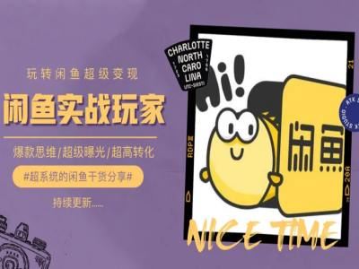 手把手教你0到1系统玩转闲鱼变现，爆款思维/超级曝光/超高转化-巴七创客网