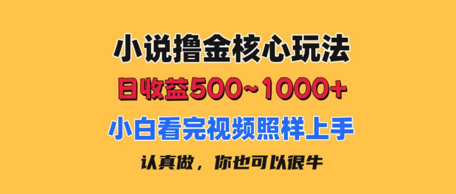 （11461期）小说撸金核心玩法，日收益500-1000+，小白看完照样上手，0成本有手就行-巴七创客网