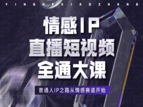 情感IP直播短视频全通大课，普通人IP之路从情感赛道开始-巴七创客网