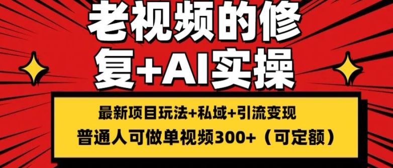 修复老视频的玩法，搬砖+引流的变现(可持久)，单条收益300+【揭秘】-巴七创客网