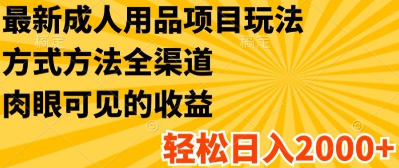 最新成人用品项目玩法，方式方法全渠道，轻松日入2K+【揭秘】-巴七创客网