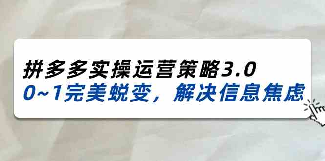 2024-2025拼多多实操运营策略3.0，0~1完美蜕变，解决信息焦虑（38节）-巴七创客网