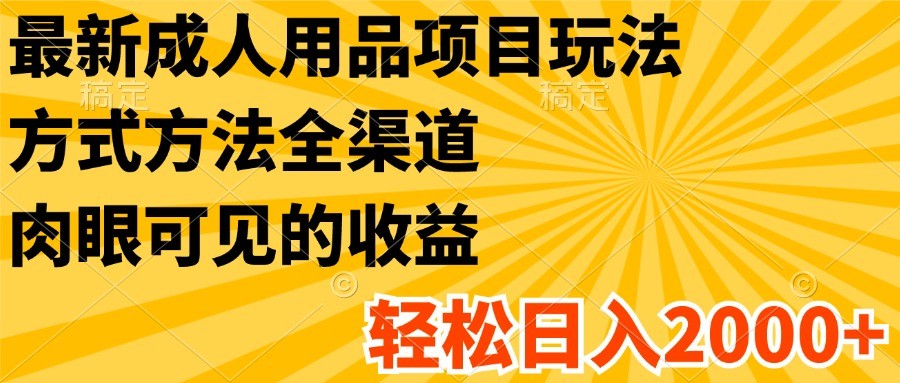 最新成人用品项目玩法，方式方法全渠道，肉眼可见的收益，轻松日入2000+-巴七创客网