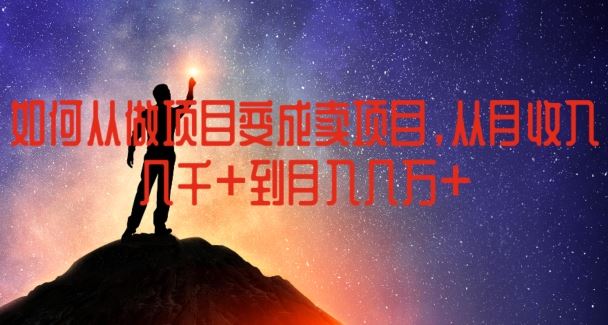 如何从做项目变成卖项目，从月收入几千到月入几万【揭秘】-巴七创客网