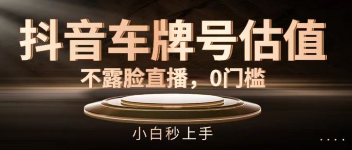 抖音车牌号估值，不露脸直播，0门槛，小白秒上手【揭秘】-巴七创客网