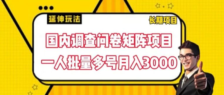 国内调查问卷矩阵项目，一人批量多号月入3000【揭秘】-巴七创客网