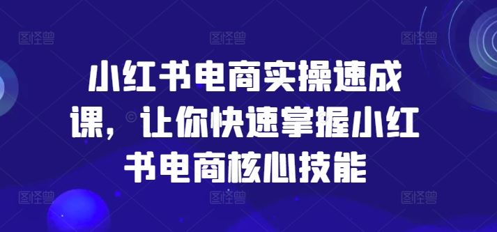 小红书电商实操速成课，让你快速掌握小红书电商核心技能-巴七创客网