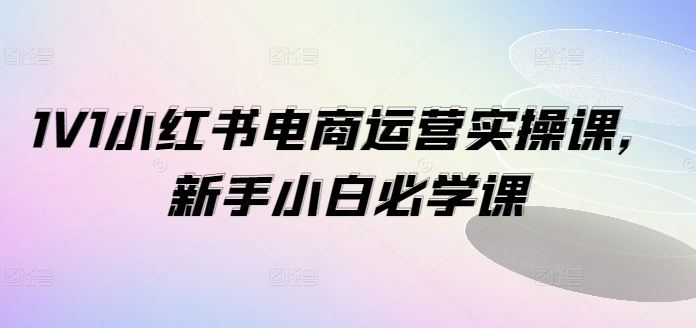 1V1小红书电商运营实操课，新手小白必学课-巴七创客网