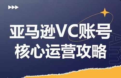 亚马逊VC账号核心玩法解析，实战经验拆解产品模块运营技巧，提升店铺GMV，有效提升运营利润-巴七创客网