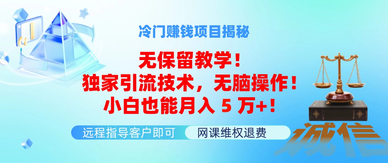 （11864期）冷门赚钱项目无保留教学！独家引流技术，无脑操作！小白也能月入5万+！-巴七创客网