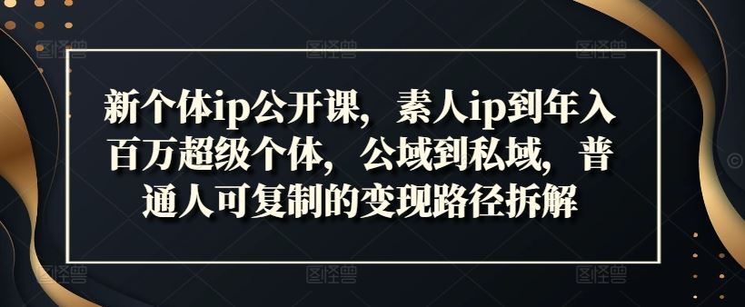 新个体ip公开课，素人ip到年入百万超级个体，公域到私域，普通人可复制的变现路径拆解-巴七创客网