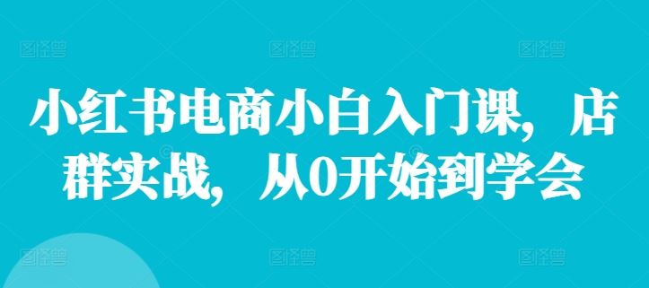 小红书电商小白入门课，店群实战，从0开始到学会-巴七创客网