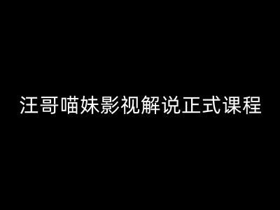 汪哥影视解说正式课程：剪映/PR教学/视解说剪辑5大黄金法则/全流程剪辑7把利器等等-巴七创客网