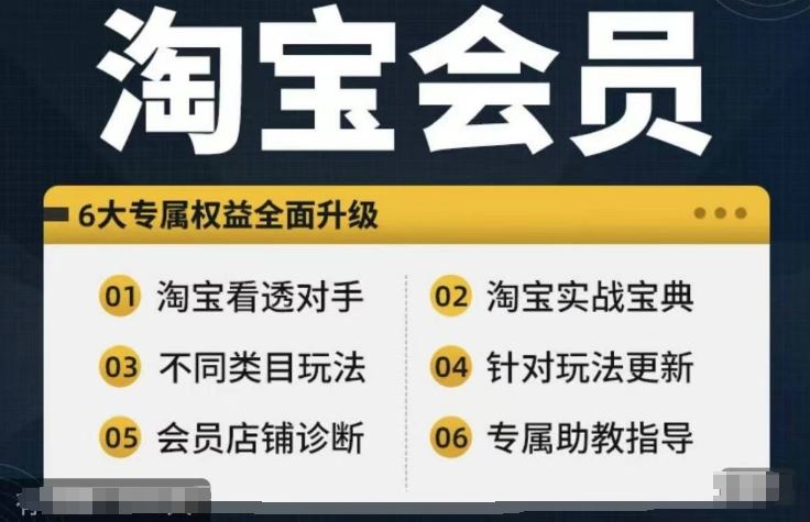 淘宝会员【淘宝所有课程，全面分析对手】，初级到高手全系实战宝典-巴七创客网