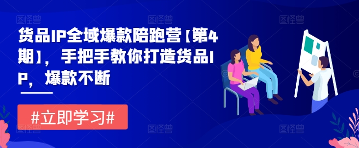 货品IP全域爆款陪跑营【第4期】，手把手教你打造货品IP，爆款不断-巴七创客网
