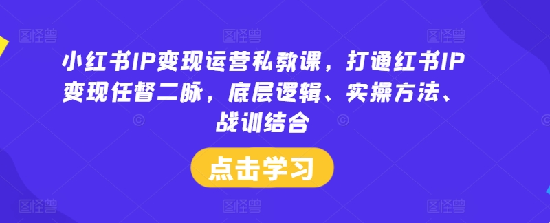 小红书IP变现运营私教课，打通红书IP变现任督二脉，底层逻辑、实操方法、战训结合-巴七创客网