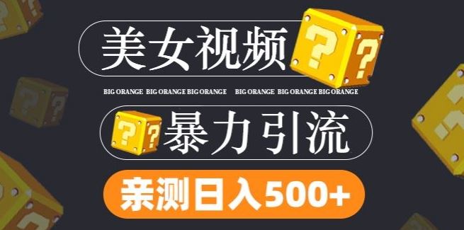搬运tk美女视频全网分发，日引s粉300+，轻松变现，不限流量不封号【揭秘】-巴七创客网