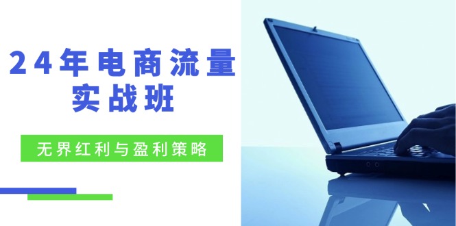 （12168期）24年电商流量实战班：无界 红利与盈利策略，终极提升/关键词优化/精准…-巴七创客网
