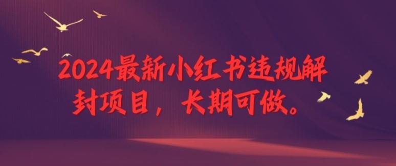2024最新小红书违规解封项目，长期可做，一个可以做到退休的项目【揭秘】-巴七创客网